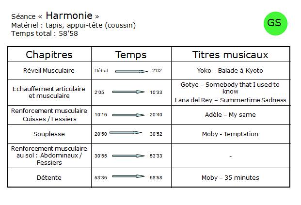 fiche-harmonie-gymsante-video.JPG